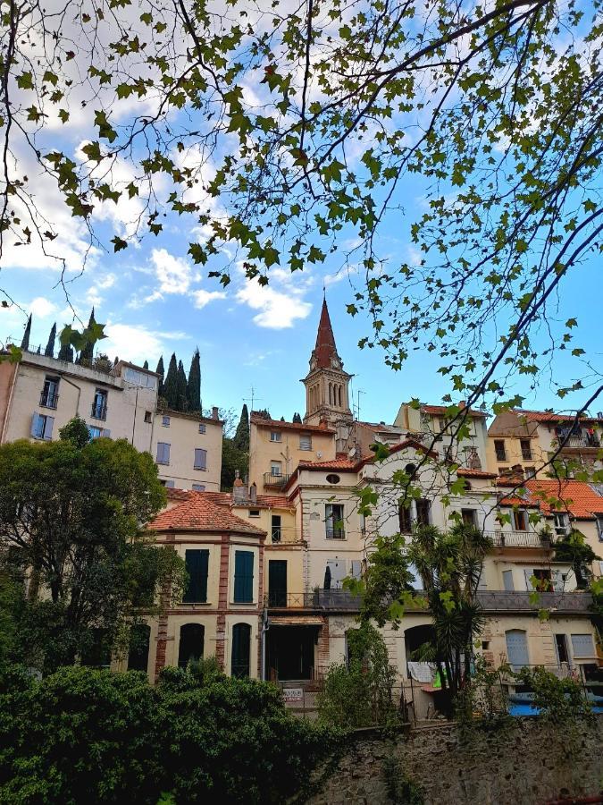 T2 Tout Confort Amélie-les-Bains-Palalda Buitenkant foto