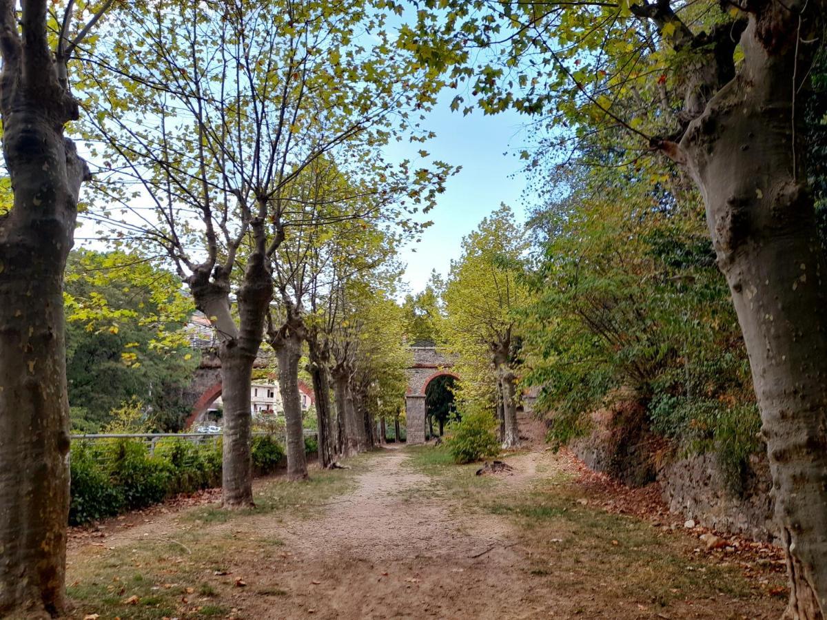 T2 Tout Confort Amélie-les-Bains-Palalda Buitenkant foto