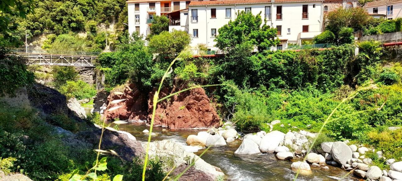 T2 Tout Confort Amélie-les-Bains-Palalda Buitenkant foto